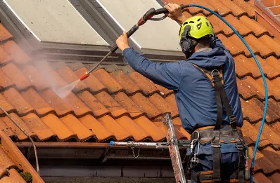 Démoussage et hydrofuge de toiture à Rochénard